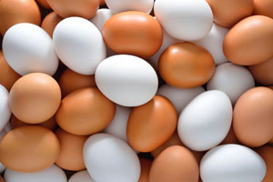 eggs
